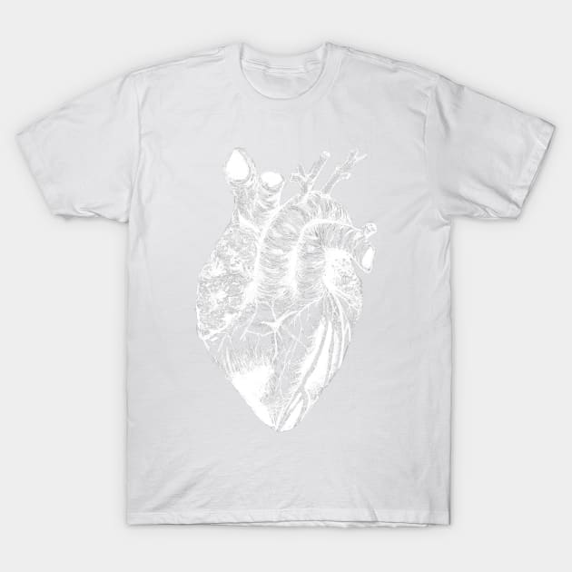 pen and ink heart drawing white transparent T-Shirt by lovefromsirius